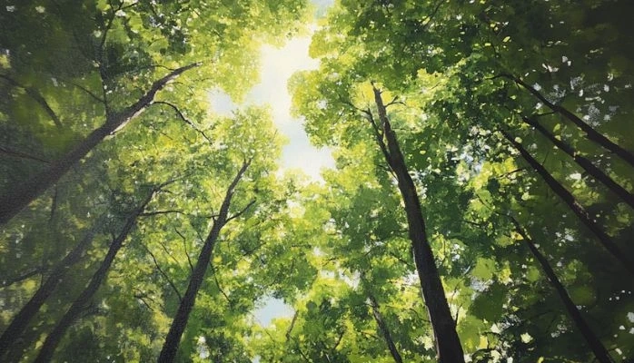 Loi anti-déforestation : le Parlement européen reporte son application d'un an